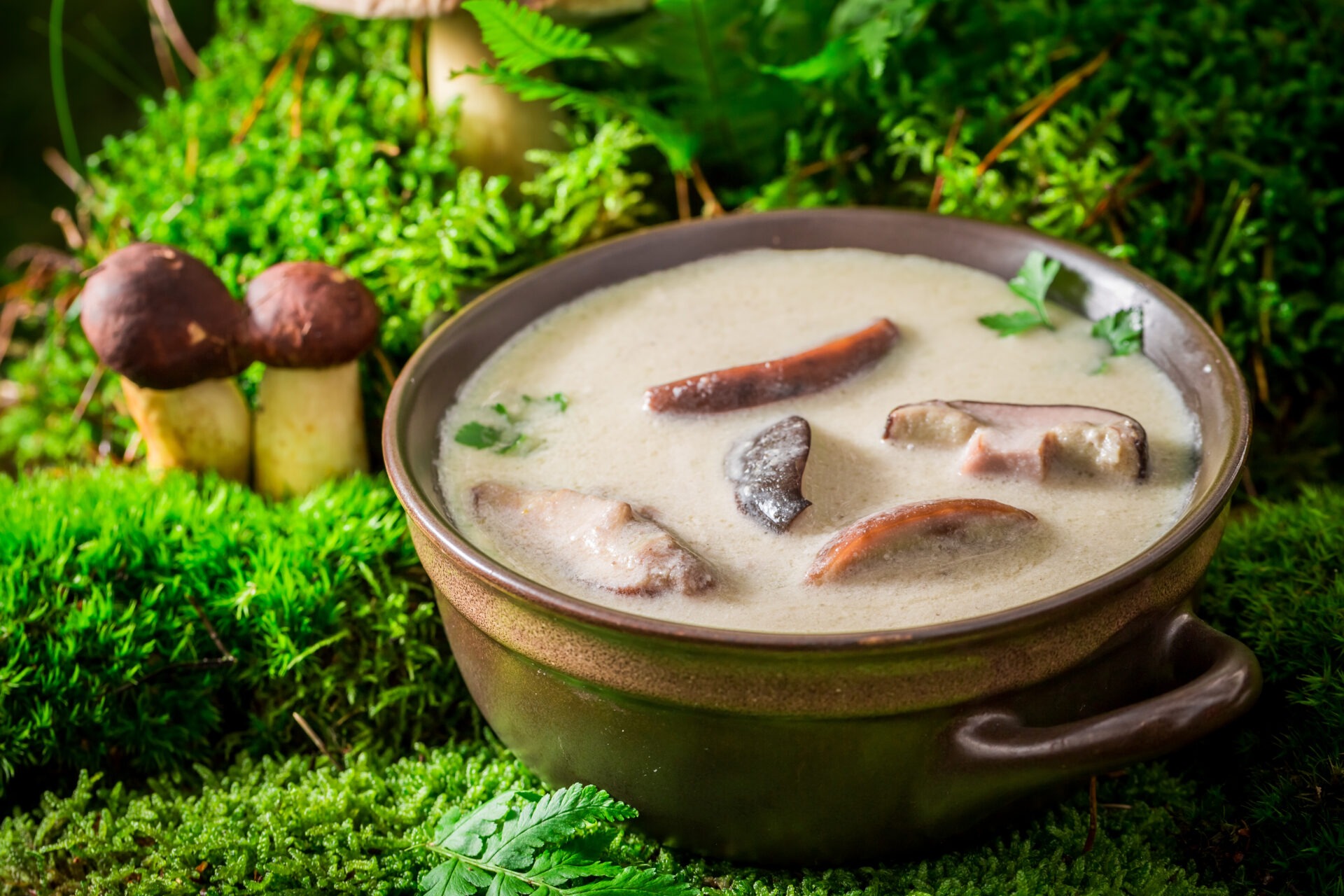 Soupe miso aux champignons